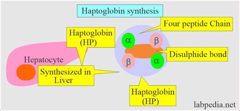 Blog - Labpedia.net