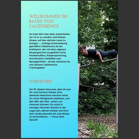 CALISTHENICS TRAINING PLAN BEGINNERS - Etsy