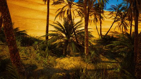 Landscape of oasis with palm trees 34772480 Stock Video at Vecteezy