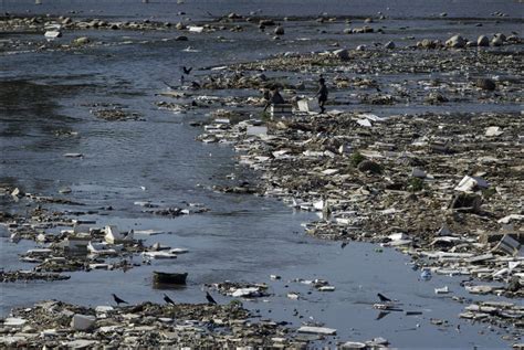 Dangers of Polluted Water ~ Do You Know?