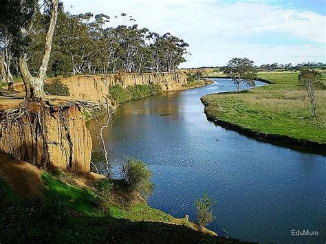 "Werribee River and the Tree - Werribee, Vic. Australia" by EdsMum | Redbubble