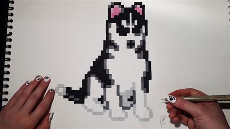 Cute Little Dog Drawing - Pixel Art ( Easy ) - YouTube