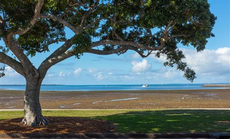 Eastwood Beach, Manly, Brisbane, Australia