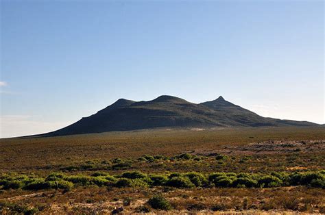 Hunting Ranches | West Texas Hunt Organization