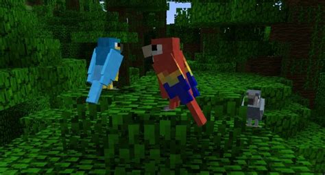 [1.8][1.7.10] Exotic Birds Minecraft Mod