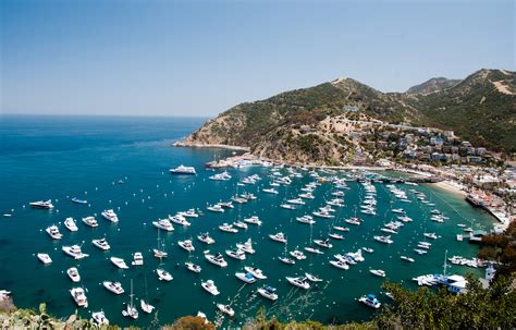 Avalon Harbor - California Beaches