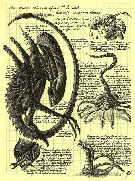 Xenomorph Life Cycle | Alien artwork, Giger alien, Alien art