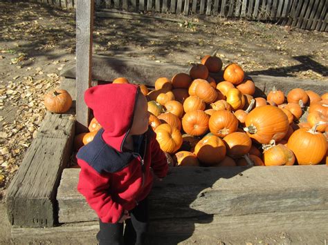 The Ross Family: Vala's Pumpkin Patch