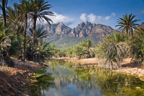 Archipiélago de Socotra, Yemen | Socotra, Cool places to visit ...