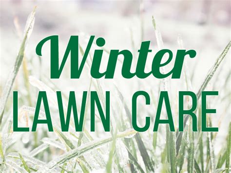 Winter Lawncare