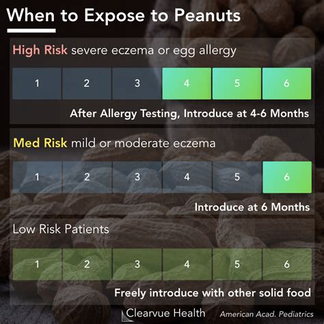 Peanut Allergy Treatment: Exposure Therapy | Visualized Health