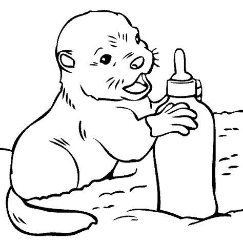22+ Printable Otter Coloring Pages PNG