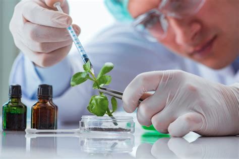 Research areas in plant biotechnology – Science of Healthy