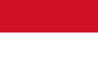 Indonesia flag icon - country flags