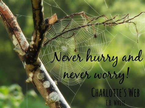 Wise words from a spider! | Wise words, Quotations, Words