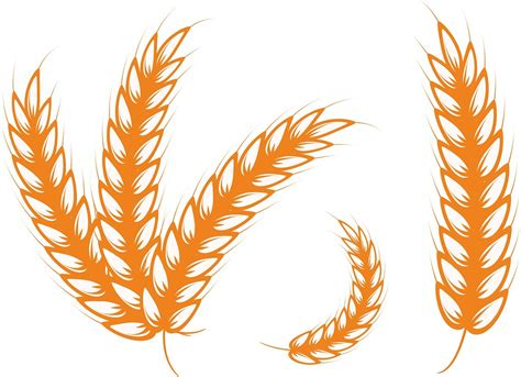 Download Virgo, Grain, Wheat. Royalty-Free Stock Illustration Image ...