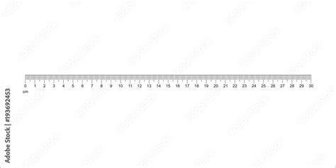 Ruler 30 cm. Measuring tool. Ruler Graduation. Ruler grid 30 cm. Size indicator units. Metric ...