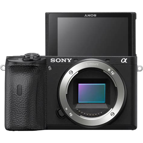 Sony a6600 Alpha Mirrorless Digital Camera (a6600 Camera Body)