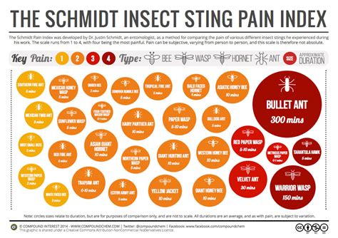 Great Big Hornet: STING PAIN INDEX