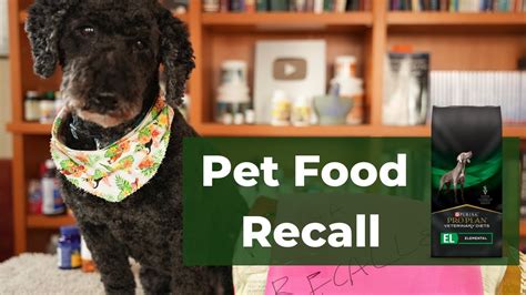 New Pet Food Recall - YouTube