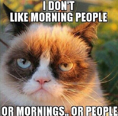 This is how I look/feel at work in the mornings | Grumpy cat quotes, Grumpy cat humor, Funny ...