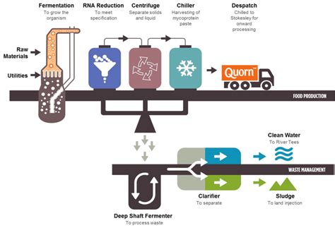 The Quorn™ fermentation process. A continuous supply of medium is fed ...