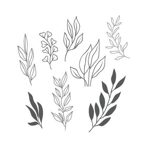 Aesthetic Leaf Vector Art, Icons, and Graphics for Free Download