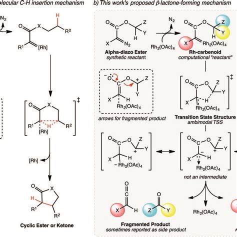 Mechanisms of lactone-forming C–H insertion reactions. (a) The ...