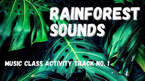 Rainforest Sounds #1- Music Class Activity - YouTube