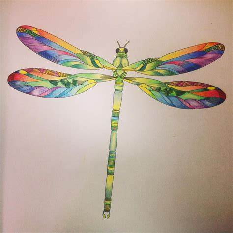 coloured pencil - watercolour - dragonfly Dragonfly Artwork, Dragonfly Images, Watercolor ...