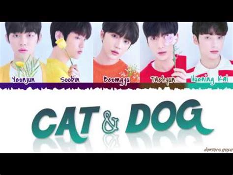 Cat And Dog Txt - Huening Kai Wallpaper HD