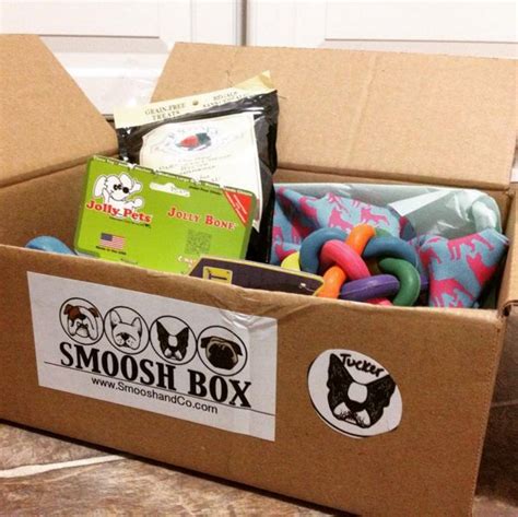 Customized Monthly Subscription Box for Dogs Cool Dog Products | Furry friend, Foster dog, Dogs