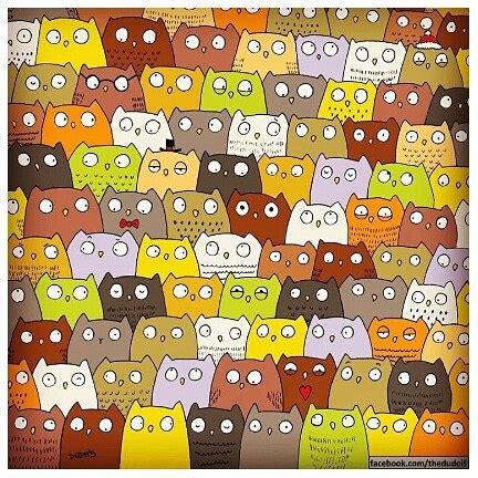 Can You Find the Cat Hidden in Owls?