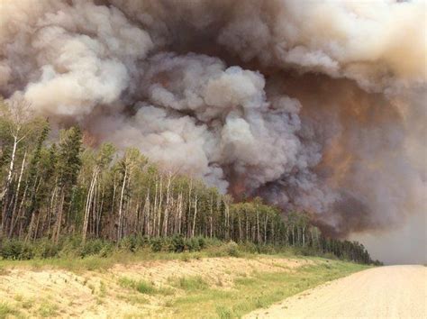 Jacqueline Obrien Kabar: Canadian Wildfires Smoke