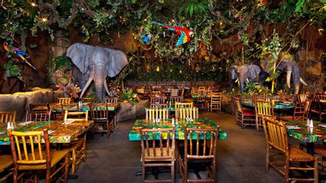 Your Guide to the Rainforest Cafe in Disney Springs for 2024