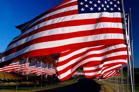 Veterans Day Flag Display – Cape Girardeau History and Photos