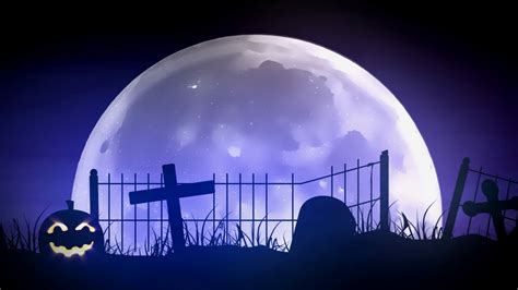 Spooky Halloween Night Scene Stock Motion Graphics SBV-300208922 ...