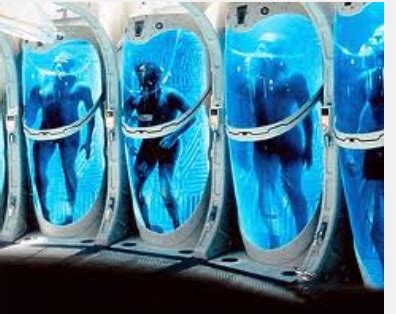 Good Ideas From Kiel: Join the Future with Cryonics