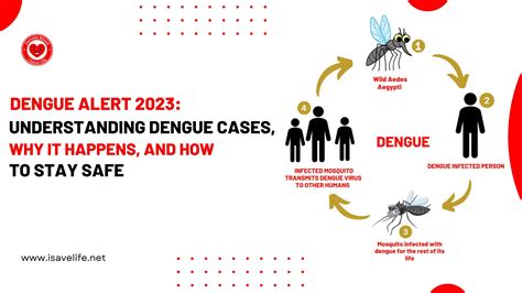 Dengue Alert 2023: Understanding Dengue Cases, Why it Happens, and How ...