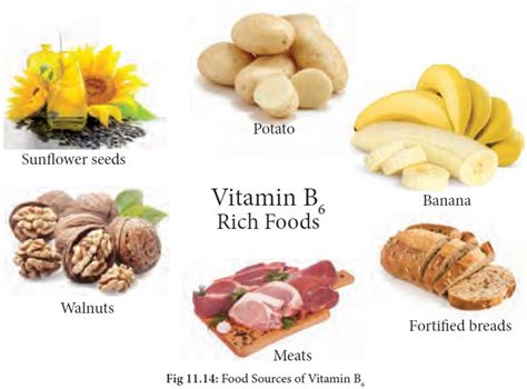 Vitamin B6 (Pyridoxine) : Functions, Food Sources, Symptoms of deficiency