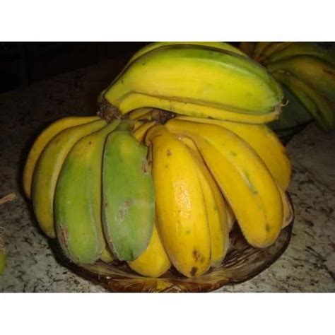 Cardaba Banana at Rs 35/kilogram | केले in Chennai | ID: 13379036233