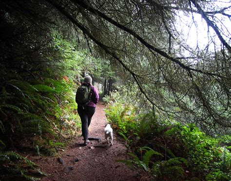 How To Walk Seaside, Oregon - Seaside Oregon