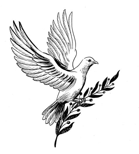 Premium Photo | Dove of peace with olive branch. Ink black and white ...