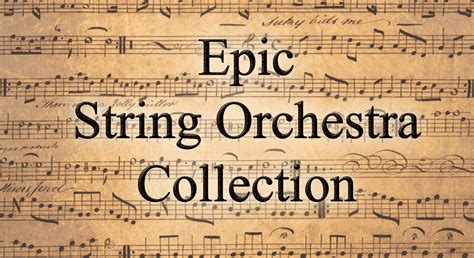 String Orchestra Collection in Music - UE Marketplace