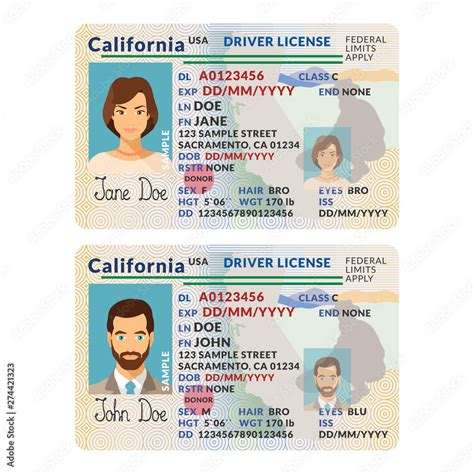 Vector template of sample driver license plastic card for USA California Stock Vector | Adobe Stock