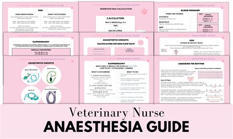 Anaesthesia Guide for Veterinary Nurses