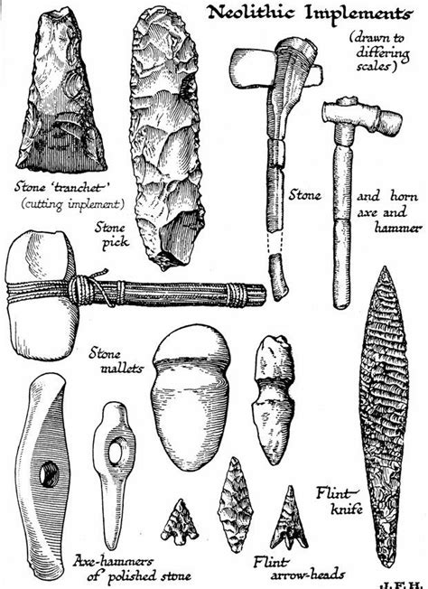 Early Phases of the Stone Age | Stone age art, Early humans tools, Stone age tools