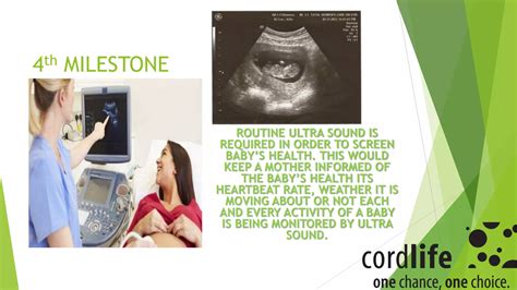 1st Trimester milestones | PPT