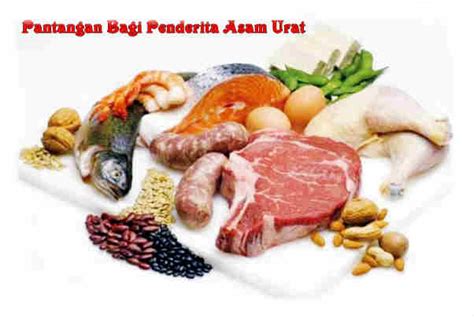 Diet Untuk Penderita Asam Urat » 2023