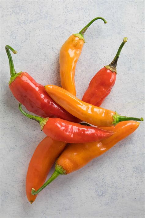 Aji Amarillo - the Sunny Yellow Chili Pepper - Chili Pepper Madness